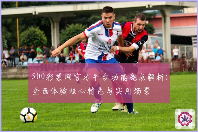 500彩票网官方平台功能亮点解析：全面体验核心特色与实用场景